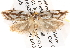  ( - BIOUG13746-B07)  @12 [ ] CreativeCommons - Attribution (2014) CBG Photography Group Centre for Biodiversity Genomics