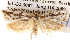  ( - BIOUG13746-B10)  @12 [ ] CreativeCommons - Attribution (2014) CBG Photography Group Centre for Biodiversity Genomics