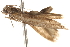  ( - BIOUG13746-C12)  @12 [ ] CreativeCommons - Attribution (2014) CBG Photography Group Centre for Biodiversity Genomics