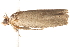  ( - BIOUG13746-D03)  @12 [ ] CreativeCommons - Attribution (2014) CBG Photography Group Centre for Biodiversity Genomics