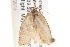  ( - BIOUG13746-H07)  @13 [ ] CreativeCommons - Attribution (2014) CBG Photography Group Centre for Biodiversity Genomics