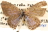  ( - BIOUG14241-A02)  @13 [ ] CreativeCommons - Attribution (2014) CBG Photography Group Centre for Biodiversity Genomics