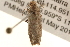  ( - BIOUG14241-C03)  @12 [ ] CreativeCommons - Attribution (2014) CBG Photography Group Centre for Biodiversity Genomics