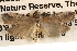  ( - BIOUG14241-F07)  @13 [ ] CreativeCommons - Attribution (2014) CBG Photography Group Centre for Biodiversity Genomics
