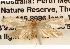  ( - BIOUG14241-F10)  @12 [ ] CreativeCommons - Attribution (2014) CBG Photography Group Centre for Biodiversity Genomics