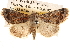  ( - BIOUG14242-B08)  @14 [ ] CreativeCommons - Attribution (2014) CBG Photography Group Centre for Biodiversity Genomics