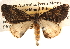  ( - BIOUG14242-B11)  @13 [ ] CreativeCommons - Attribution (2014) CBG Photography Group Centre for Biodiversity Genomics