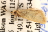  ( - BIOUG14242-F04)  @12 [ ] CreativeCommons - Attribution (2014) CBG Photography Group Centre for Biodiversity Genomics