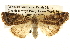  ( - BIOUG14243-B12)  @14 [ ] CreativeCommons - Attribution (2014) CBG Photography Group Centre for Biodiversity Genomics