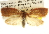  ( - BIOUG14243-D02)  @12 [ ] CreativeCommons - Attribution (2014) CBG Photography Group Centre for Biodiversity Genomics