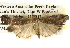  ( - BIOUG14243-E03)  @13 [ ] CreativeCommons - Attribution (2014) CBG Photography Group Centre for Biodiversity Genomics