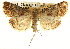  ( - BIOUG14243-F04)  @14 [ ] CreativeCommons - Attribution (2014) CBG Photography Group Centre for Biodiversity Genomics