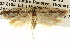  ( - BIOUG14243-G03)  @12 [ ] CreativeCommons - Attribution (2014) CBG Photography Group Centre for Biodiversity Genomics