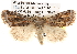  ( - BIOUG14244-A08)  @14 [ ] CreativeCommons - Attribution (2014) CBG Photography Group Centre for Biodiversity Genomics