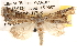  ( - BIOUG14244-A09)  @14 [ ] CreativeCommons - Attribution (2014) CBG Photography Group Centre for Biodiversity Genomics