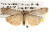  ( - BIOUG14244-B08)  @15 [ ] CreativeCommons - Attribution (2014) CBG Photography Group Centre for Biodiversity Genomics
