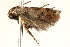  ( - BIOUG14244-F01)  @13 [ ] CreativeCommons - Attribution (2014) CBG Photography Group Centre for Biodiversity Genomics