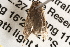  ( - BIOUG14244-G03)  @12 [ ] CreativeCommons - Attribution (2014) CBG Photography Group Centre for Biodiversity Genomics