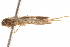  ( - BIOUG14244-G04)  @12 [ ] CreativeCommons - Attribution (2014) CBG Photography Group Centre for Biodiversity Genomics