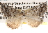  ( - BIOUG14245-B02)  @13 [ ] CreativeCommons - Attribution (2014) CBG Photography Group Centre for Biodiversity Genomics