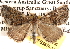  ( - BIOUG14245-B08)  @15 [ ] CreativeCommons - Attribution (2014) CBG Photography Group Centre for Biodiversity Genomics