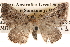  ( - BIOUG14245-C01)  @14 [ ] CreativeCommons - Attribution (2014) CBG Photography Group Centre for Biodiversity Genomics