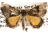  ( - BIOUG14245-E02)  @13 [ ] CreativeCommons - Attribution (2014) CBG Photography Group Centre for Biodiversity Genomics