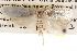  ( - BIOUG14245-E12)  @13 [ ] CreativeCommons - Attribution (2014) CBG Photography Group Centre for Biodiversity Genomics