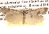  ( - BIOUG14245-F12)  @15 [ ] CreativeCommons - Attribution (2014) CBG Photography Group Centre for Biodiversity Genomics
