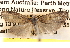 ( - BIOUG14246-A10)  @14 [ ] CreativeCommons - Attribution (2014) CBG Photography Group Centre for Biodiversity Genomics