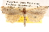  ( - BIOUG14246-D01)  @14 [ ] CreativeCommons - Attribution (2014) CBG Photography Group Centre for Biodiversity Genomics