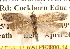  ( - BIOUG14246-E07)  @13 [ ] CreativeCommons - Attribution (2014) CBG Photography Group Centre for Biodiversity Genomics