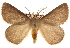  ( - BIOUG14246-G01)  @11 [ ] CreativeCommons - Attribution (2014) CBG Photography Group Centre for Biodiversity Genomics
