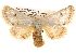  ( - BIOUG14246-G02)  @14 [ ] CreativeCommons - Attribution (2014) CBG Photography Group Centre for Biodiversity Genomics