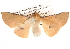  ( - BIOUG14246-H06)  @14 [ ] CreativeCommons - Attribution (2014) CBG Photography Group Centre for Biodiversity Genomics