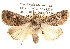  ( - BIOUG14246-H08)  @14 [ ] CreativeCommons - Attribution (2014) CBG Photography Group Centre for Biodiversity Genomics