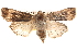  ( - BIOUG14247-B06)  @14 [ ] CreativeCommons - Attribution (2014) CBG Photography Group Centre for Biodiversity Genomics