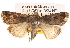  ( - BIOUG14247-C02)  @14 [ ] CreativeCommons - Attribution (2014) CBG Photography Group Centre for Biodiversity Genomics