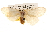  ( - BIOUG14247-H05)  @13 [ ] CreativeCommons - Attribution (2014) CBG Photography Group Centre for Biodiversity Genomics