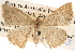  ( - BIOUG14248-B04)  @13 [ ] CreativeCommons - Attribution (2014) CBG Photography Group Centre for Biodiversity Genomics