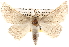  ( - BIOUG14248-C01)  @15 [ ] CreativeCommons - Attribution (2014) CBG Photography Group Centre for Biodiversity Genomics