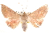  ( - BIOUG14248-C03)  @15 [ ] CreativeCommons - Attribution (2014) CBG Photography Group Centre for Biodiversity Genomics