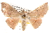 ( - BIOUG14248-C06)  @14 [ ] CreativeCommons - Attribution (2014) CBG Photography Group Centre for Biodiversity Genomics