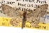  ( - BIOUG14248-H02)  @14 [ ] CreativeCommons - Attribution (2014) CBG Photography Group Centre for Biodiversity Genomics
