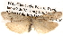  ( - BIOUG14426-A06)  @15 [ ] CreativeCommons - Attribution (2014) CBG Photography Group Centre for Biodiversity Genomics