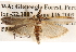  ( - BIOUG14426-D01)  @14 [ ] CreativeCommons - Attribution (2014) CBG Photography Group Centre for Biodiversity Genomics