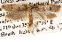  ( - BIOUG14426-D08)  @13 [ ] CreativeCommons - Attribution (2014) CBG Photography Group Centre for Biodiversity Genomics