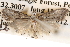  ( - BIOUG14426-D10)  @12 [ ] CreativeCommons - Attribution (2014) CBG Photography Group Centre for Biodiversity Genomics