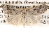  ( - BIOUG14426-E01)  @12 [ ] CreativeCommons - Attribution (2014) CBG Photography Group Centre for Biodiversity Genomics