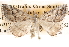 ( - BIOUG14426-F02)  @13 [ ] CreativeCommons - Attribution (2014) CBG Photography Group Centre for Biodiversity Genomics